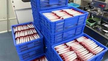 Guangzhou skincare essence processing, skincare essence OEM, essence ODM, private label skincare, Guangzhou cosmetics factory, skincare manufacturer